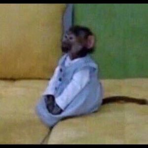 Meet your Posher, Lux